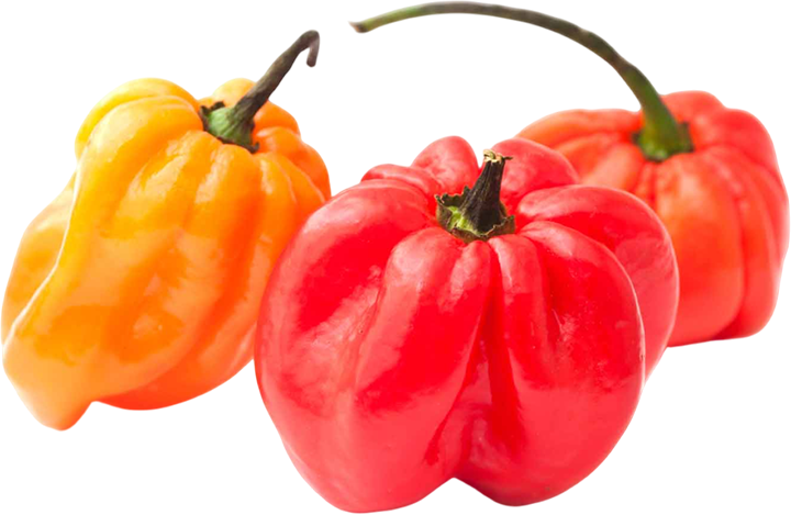 Piments Saint-Eustache